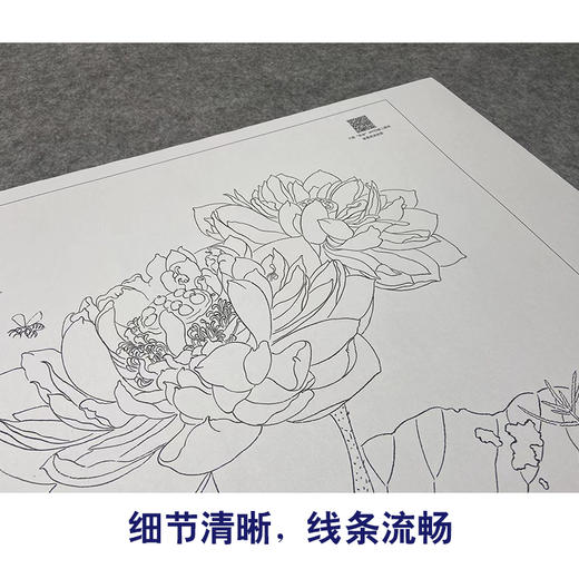 【大彩图】杨冬冬工笔画白描底稿小品《双影共分红》荷花临摹勾线花鸟线稿HD22 商品图4