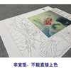 【大彩图】杨冬冬工笔画白描底稿小品《妍姿俏丽》荷花临摹勾线花鸟线稿HD21 商品缩略图2