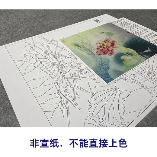 【大彩图】杨冬冬工笔画白描底稿小品《妍姿俏丽》荷花临摹勾线花鸟线稿HD21 商品图2