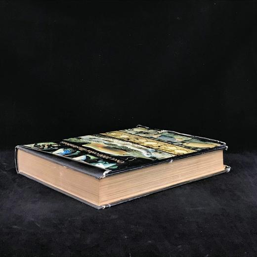 拉鲁斯动物世界百科全书 1000余幅彩色插图 精装大16开 商品图2