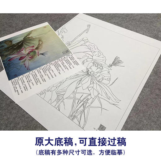 【大彩图】杨冬冬工笔画白描底稿小品《独照玉容秋》荷花临摹勾线花鸟线稿HD28 商品图1