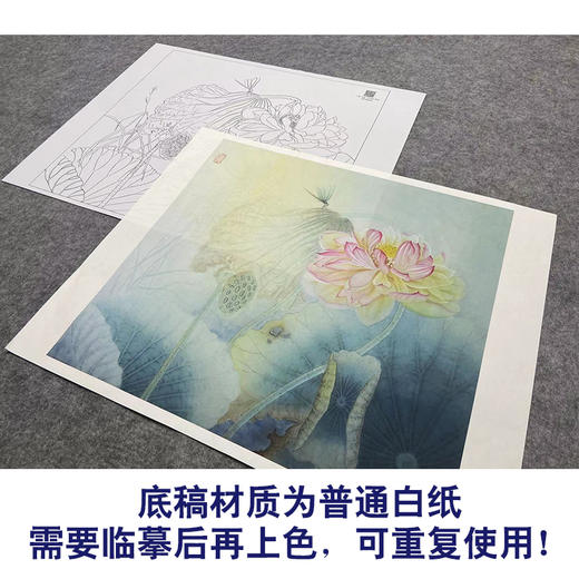【大彩图】杨冬冬工笔画白描底稿小品《风送馨香》荷花临摹勾线花鸟线稿HD27 商品图3