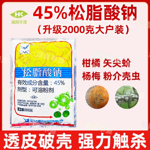 大鹏45%松脂酸钠大户包装冬季清园果树茶园清园剂粉介壳虫杀虫剂 商品图3