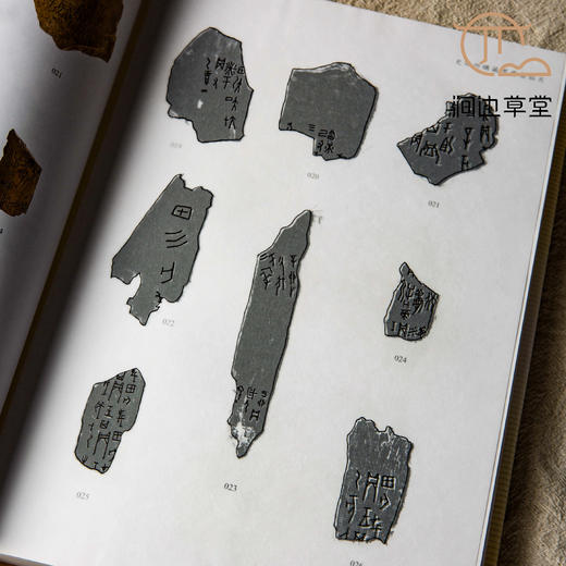 【绝版好书】《史语所购藏甲骨集》大16开精装260页，高清，2009年史语所初版 商品图4