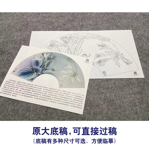 【大彩图】杨冬冬工笔画白描底稿扇面小品《玉簪花》临摹勾线花鸟线稿HD60 商品图1