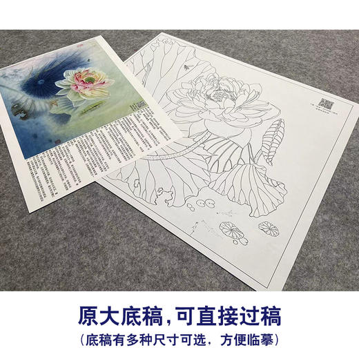 【大彩图】杨冬冬工笔画白描底稿小品《碧玉落水中》荷花临摹勾线花鸟线稿HD18 商品图1