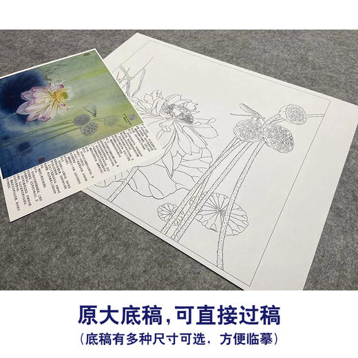 【大彩图】杨冬冬工笔画白描底稿小品《夜月幽梦》荷花临摹勾线花鸟线稿HD19 商品图1