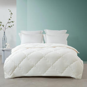 梦洁    水洗磨毛抗菌大豆四季被被芯 美梦