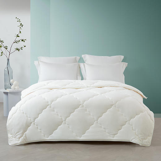 梦洁    水洗磨毛抗菌大豆四季被被芯 美梦 商品图0