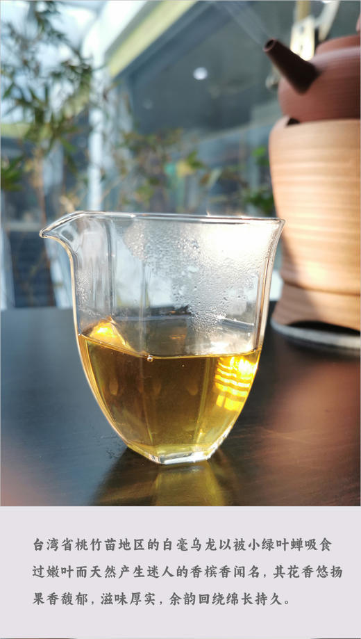 台湾东方美人乌龙茶 75克 台湾原产 桃竹苗核心产区 迷人的香槟香 商品图4