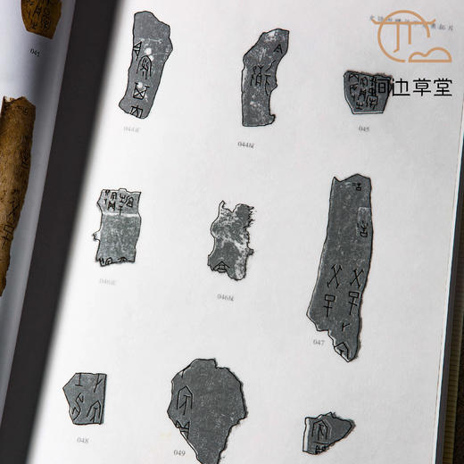 【绝版好书】《史语所购藏甲骨集》大16开精装260页，高清，2009年史语所初版 商品图8