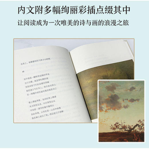 洛夫诗精选 商品图3