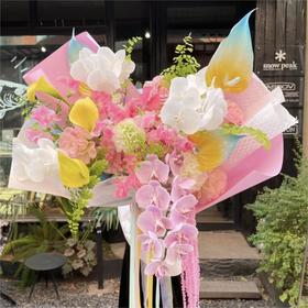 春日宴--高级定制