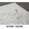 【大彩图】杨冬冬工笔画白描底稿小品《独照玉容秋》荷花临摹勾线花鸟线稿HD28 商品缩略图4