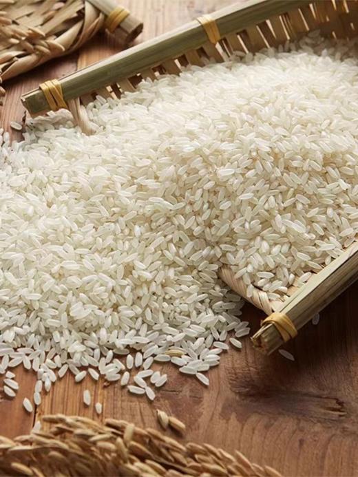 中粮初萃 五常绿色生态长粒香大米5kg 商品图2