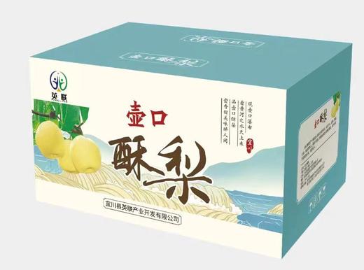 壶口酥梨 宜川原产地直发 精品箱装 香甜多汁 英联公司（14斤） 商品图4