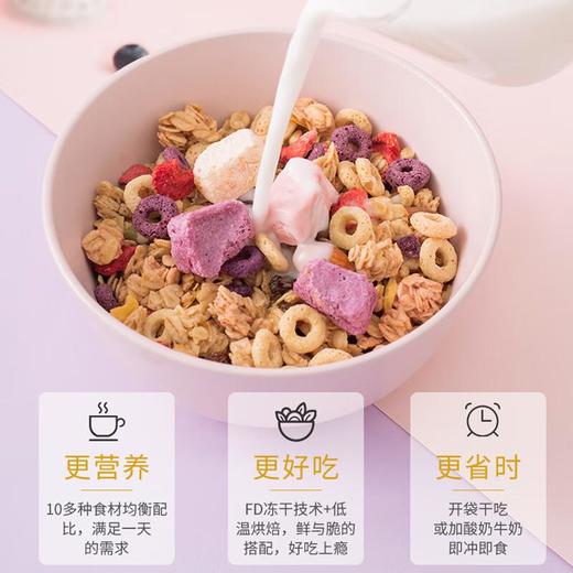 西澳阳光 酸奶水果烘焙燕麦片 350g 商品图4