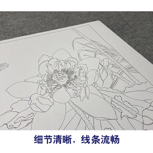【大彩图】杨冬冬工笔画白描底稿小品《荷花》临摹勾线花鸟线稿HD17 商品图4