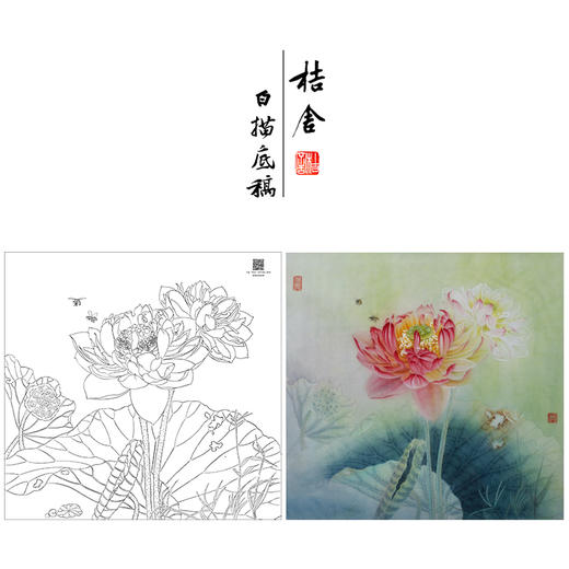 【大彩图】杨冬冬工笔画白描底稿小品《双影共分红》荷花临摹勾线花鸟线稿HD22 商品图0