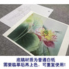 【大彩图】杨冬冬工笔画白描底稿小品《莲蕊染香尘》荷花临摹勾线花鸟线稿HD24 商品缩略图3