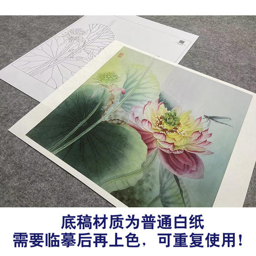 【大彩图】杨冬冬工笔画白描底稿小品《莲蕊染香尘》荷花临摹勾线花鸟线稿HD24 商品图3
