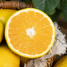 福建甜桔柚│山人优选，果肉橙黄，甘甜多汁，一果三味，满满维C~