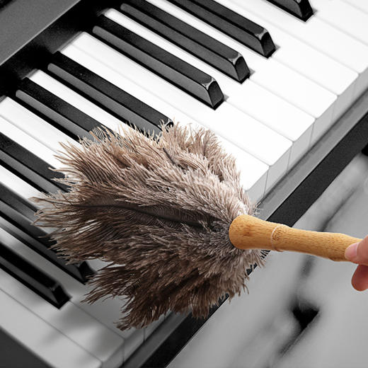 【6F】多样屋鸡毛掸子除尘家用不易掉毛扫灰静电家务床刷子扫床刷床上除尘清洁 竹柄鸵鸟毛掸 商品图2