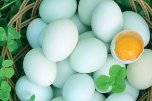 初生蛋/绿皮鸡蛋 商品图1