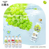  SUNTORY/三得利 沁葡水 饮料 整箱 550ml*15瓶 网红 新老包装随机发货 包邮 商品缩略图2