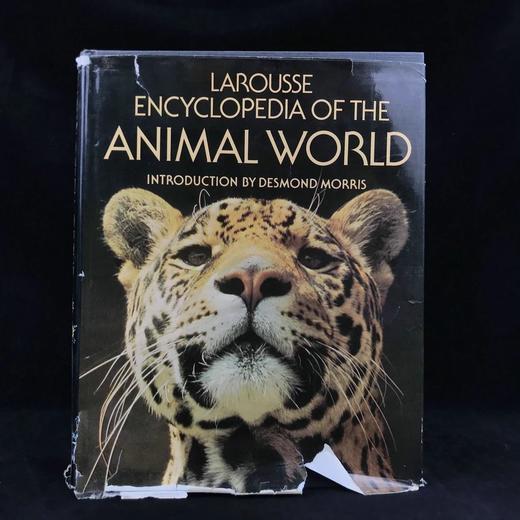 拉鲁斯动物世界百科全书 1000余幅彩色插图 精装大16开 商品图0