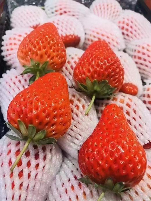 磨味莓 商品图5