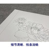 【大彩图】杨冬冬工笔画白描底稿小品《花娇欲语》荷花临摹勾线花鸟线稿HD25 商品缩略图4