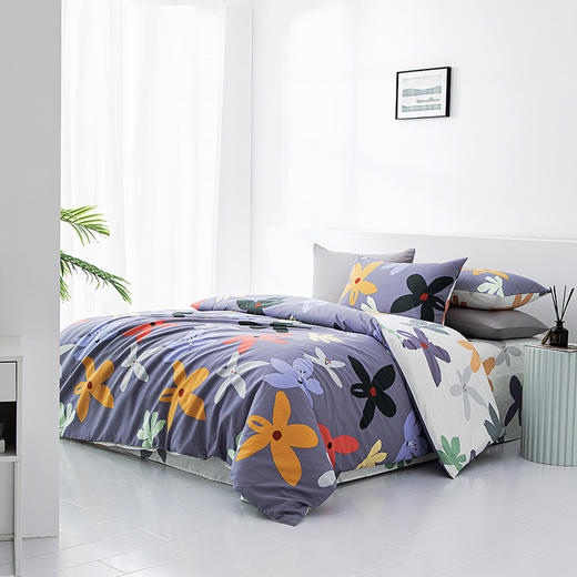 【梦洁】磨绒印花四件套 恋青春（被套200*230cm 床单230*250cm，枕套48*74cm ） 商品图2
