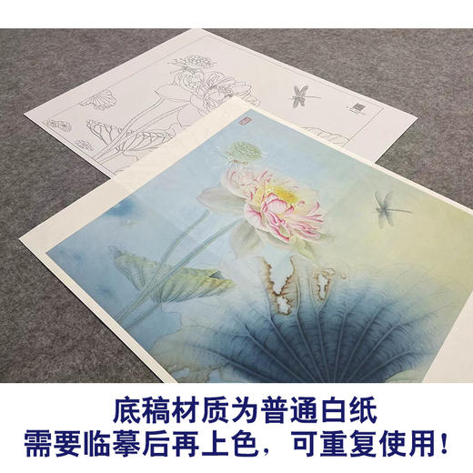 【大彩图】杨冬冬工笔画白描底稿小品《花娇欲语》荷花临摹勾线花鸟线稿HD25 商品图3