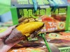 周日取货：【甄甜蜜薯】一箱毛重4.2斤左右，软糯香甜，口口留香！ 商品缩略图0