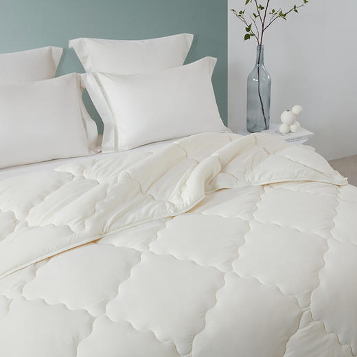 梦洁    水洗磨毛抗菌大豆四季被被芯 美梦 商品图1