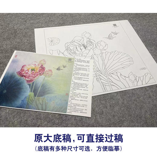 【大彩图】杨冬冬工笔画白描底稿小品《双蝶慕幽香》荷花临摹勾线花鸟线稿HD23 商品图1
