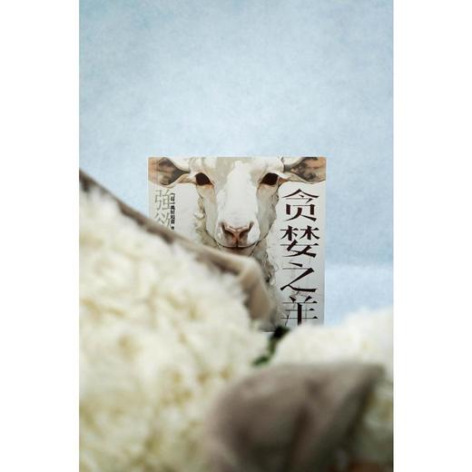 读者书店 | 《贪婪之羊》 电影《鬼来电》编剧大良美波子的小说作品 商品图2