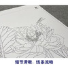 【大彩图】杨冬冬工笔画白描底稿小品《莲蕊染香尘》荷花临摹勾线花鸟线稿HD24 商品缩略图4
