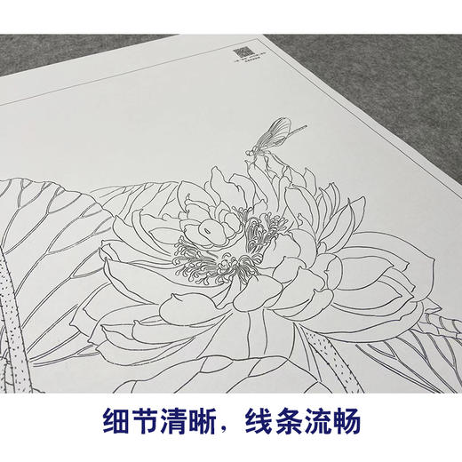 【大彩图】杨冬冬工笔画白描底稿小品《莲蕊染香尘》荷花临摹勾线花鸟线稿HD24 商品图4