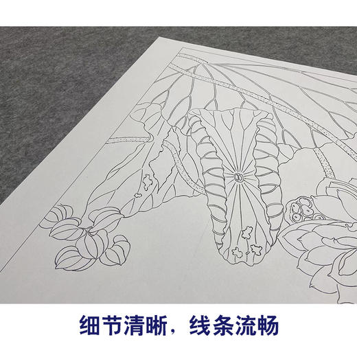 【大彩图】杨冬冬工笔画白描底稿小品《瑶台月下影》荷花临摹勾线花鸟线稿HD20 商品图4