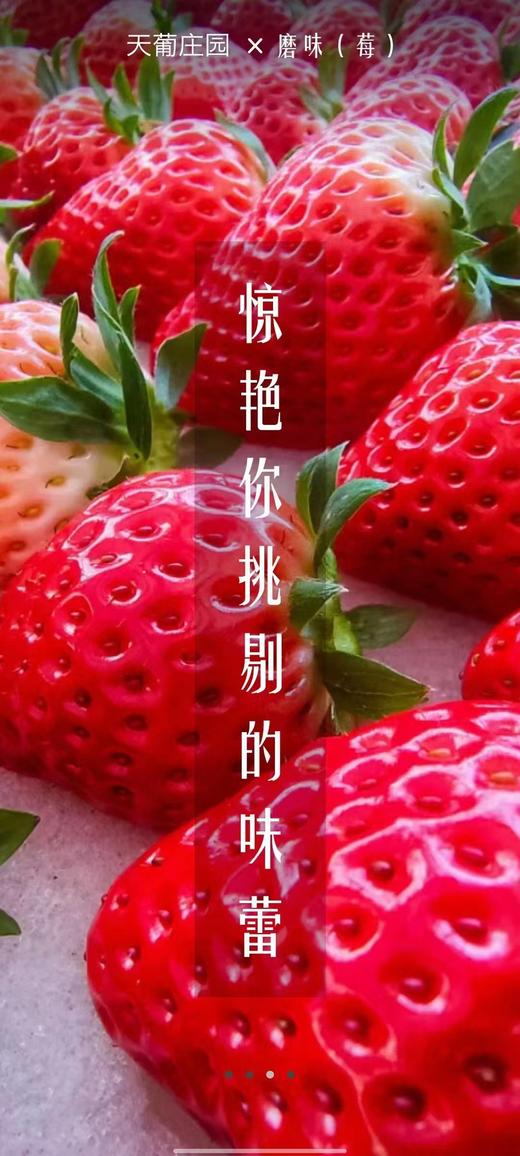 磨味莓 商品图2