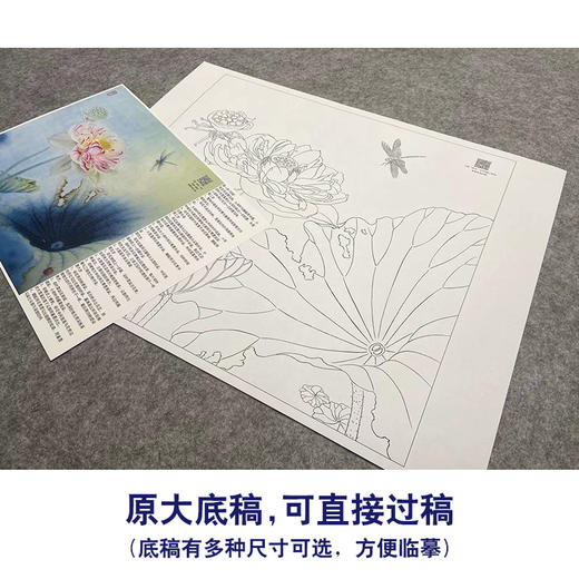 【大彩图】杨冬冬工笔画白描底稿小品《花娇欲语》荷花临摹勾线花鸟线稿HD25 商品图1