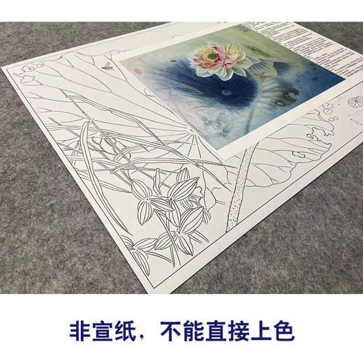 【大彩图】杨冬冬工笔画白描底稿小品《碧玉落水中》荷花临摹勾线花鸟线稿HD18 商品图2