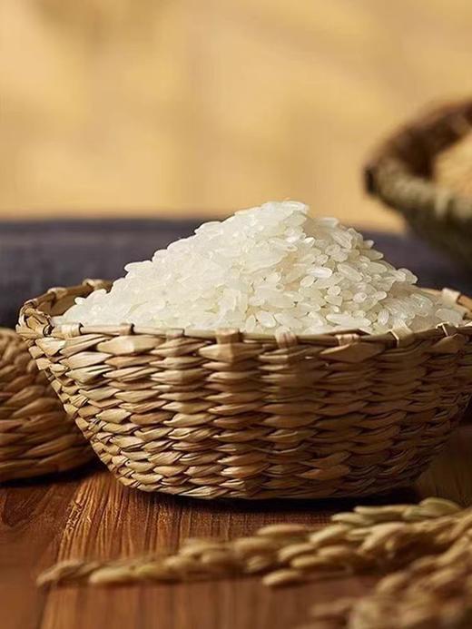 中粮初萃 五常绿色生态长粒香大米5kg 商品图3