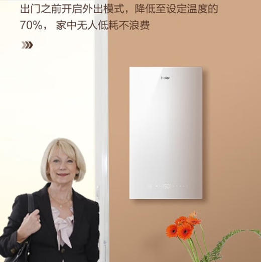 海尔（Haier）采暖炉 L1PB35-HX3(T)U1 商品图12