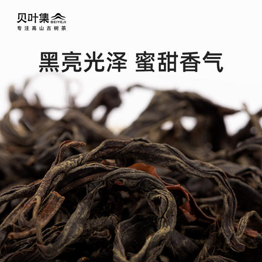 贝叶集云南红茶滇红古茶树原始稀缺品种秘境野韵高端礼盒 商品图2