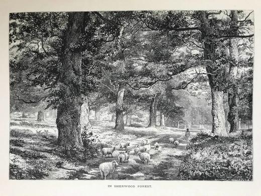 约19世纪后期 欧洲风景图集（卷1） 数百幅版画插图 真皮精装大16开 商品图8