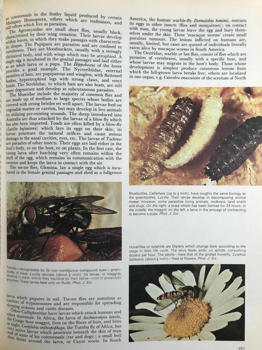 拉鲁斯动物世界百科全书 1000余幅彩色插图 精装大16开 商品图10