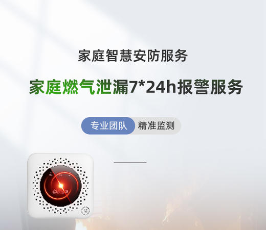 家庭燃气泄露报警服务7*24h 商品图0